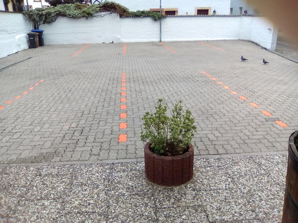 Hotel Trutzpfaff Speyer Kültér fotó